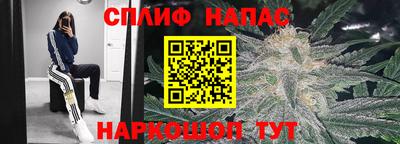 ALPHA PVP Дубна
