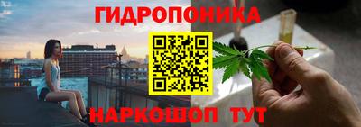 трава Донецк