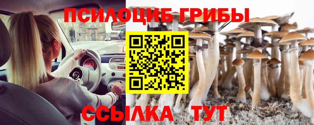 Камень-на-Оби  Галлюциногенные грибы Psilocybine cubensis  Вход с VPN  Галлюциногенные грибы мухоморы 